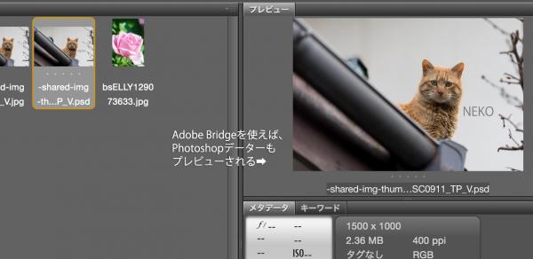 知らないと損。Adobe Bridgeを使おう！